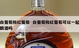 白葡萄和红葡萄  白葡萄和红葡萄可以一起酿酒吗
