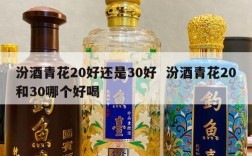 汾酒青花20好还是30好  汾酒青花20和30哪个好喝