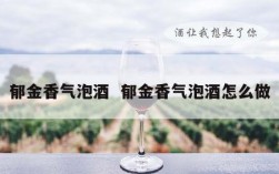 郁金香气泡酒  郁金香气泡酒怎么做