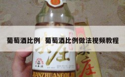 葡萄酒比例  葡萄酒比例做法视频教程