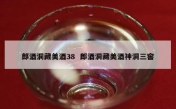 郎酒洞藏美酒38  郎酒洞藏美酒神洞三窖