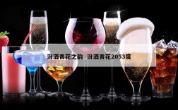 汾酒青花之韵  汾酒青花2053度