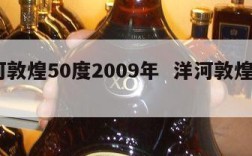 洋河敦煌50度2009年  洋河敦煌酒38