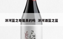 洋河蓝之尊是真的吗  洋河酒蓝之蓝