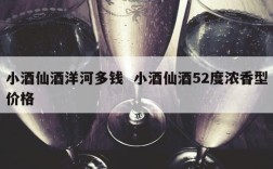 小酒仙酒洋河多钱  小酒仙酒52度浓香型价格