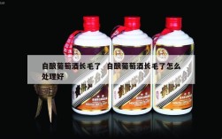 自酿葡萄酒长毛了  自酿葡萄酒长毛了怎么处理好