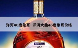 洋河46度象耳  洋河大曲46度象耳价格