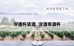 汾酒杯装酒  汾酒带酒杯