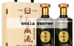 葡萄是上品  葡萄属于哪种