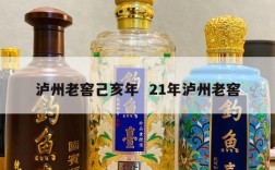 泸州老窖己亥年  21年泸州老窖