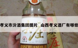 孝义市汾酒集团图片  山西孝义酒厂有哪些