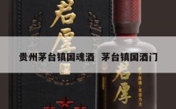 贵州茅台镇国魂酒  茅台镇国酒门