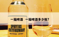 一箱啤酒  一箱啤酒多少瓶?