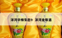 洋河华樽生态9  洋河金尊酒
