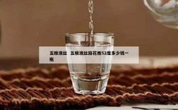五粮液丝  五粮液丝路花雨52度多少钱一瓶