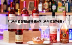 厂泸州老窖精品特曲u9  泸州老窖特曲v9