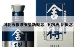 河北五粮液五星新概念  五粮液 新概念