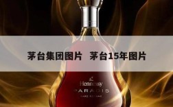茅台集团图片  茅台15年图片