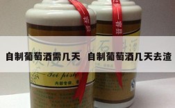 自制葡萄酒需几天  自制葡萄酒几天去渣