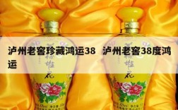 泸州老窖珍藏鸿运38  泸州老窖38度鸿运