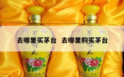 去哪里买茅台  去哪里购买茅台