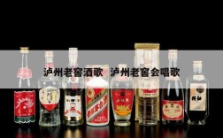 泸州老窖酒歌  泸州老窖会唱歌