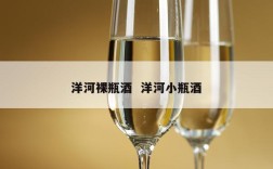 洋河裸瓶酒  洋河小瓶酒