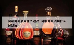 自制葡萄酒用什么过滤  自制葡萄酒用什么过滤快