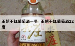 王朝干红葡萄酒一星  王朝干红葡萄酒12度