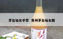 茅台仙女手臂  贵州茅台仙女图