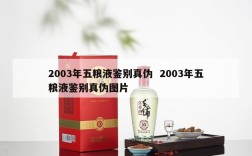 2003年五粮液鉴别真伪  2003年五粮液鉴别真伪图片