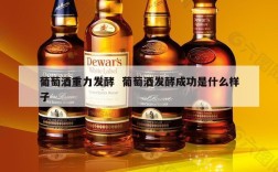 葡萄酒重力发酵  葡萄酒发酵成功是什么样子