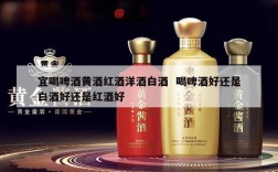 宜喝啤酒黄酒红酒洋酒白酒  喝啤酒好还是白酒好还是红酒好