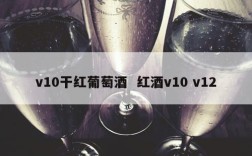v10干红葡萄酒  红酒v10 v12