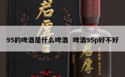 95的啤酒是什么啤酒  啤酒95p好不好