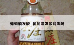 葡萄酒发酸  葡萄酒发酸能喝吗