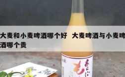 大麦和小麦啤酒哪个好  大麦啤酒与小麦啤酒哪个贵