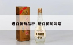 进口葡萄品种  进口葡萄叫啥