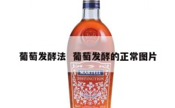 葡萄发酵法  葡萄发酵的正常图片