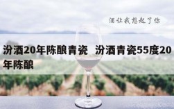 汾酒20年陈酿青瓷  汾酒青瓷55度20年陈酿