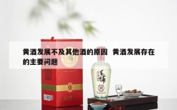 黄酒发展不及其他酒的原因  黄酒发展存在的主要问题