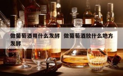 做葡萄酒用什么发酵  做葡萄酒放什么地方发酵