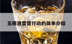 五粮液雷霆行动的简单介绍