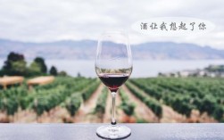 法国狮吼堡是哪个酒庄「狮吼红酒」