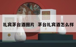 礼宾茅台酒图片  茅台礼宾酒怎么样