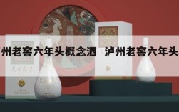 泸州老窖六年头概念酒  泸州老窖六年头价格