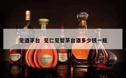 见酒茅台  见仁见智茅台酒多少钱一瓶