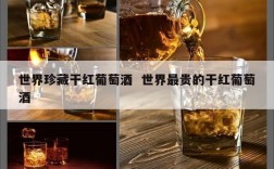 世界珍藏干红葡萄酒  世界最贵的干红葡萄酒