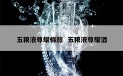 五粮液尊耀棉醇  五粮液尊耀酒