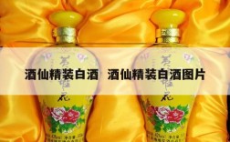 酒仙精装白酒  酒仙精装白酒图片